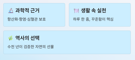 포도 효능