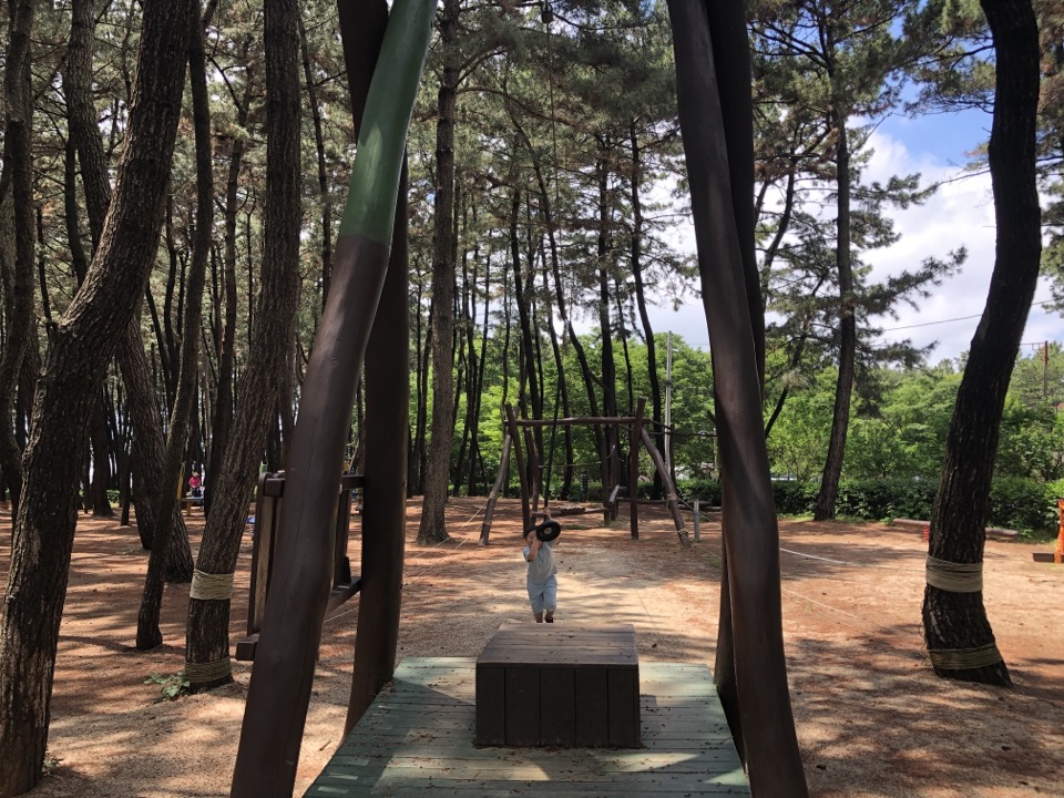 민수랜드-장항생태놀이터 짚라인2