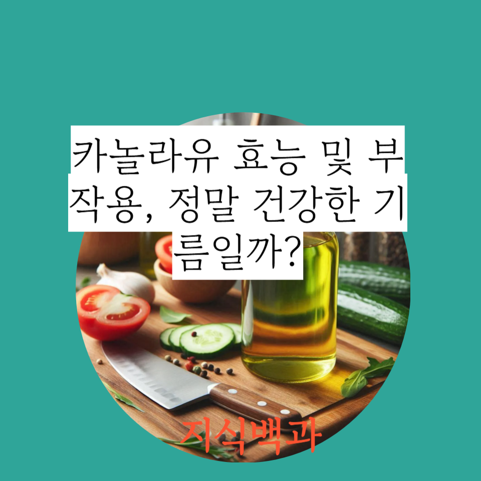 카놀라유 효능 및 부작용, 정말 건강한 기름일까?