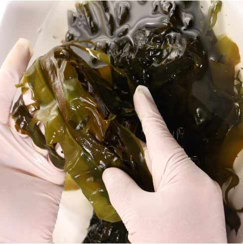 물에 불린 미역