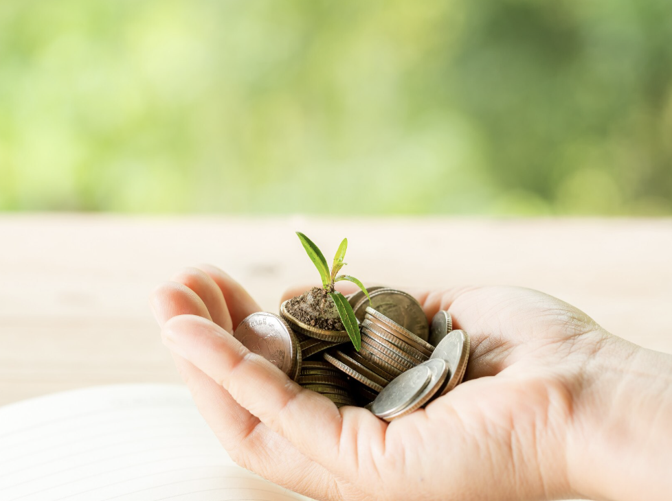 3차 민생지원금 지역 신청 방법 자격 확인