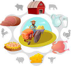 타우린 재발견: 최적의 건강을 위한 필수 영양소