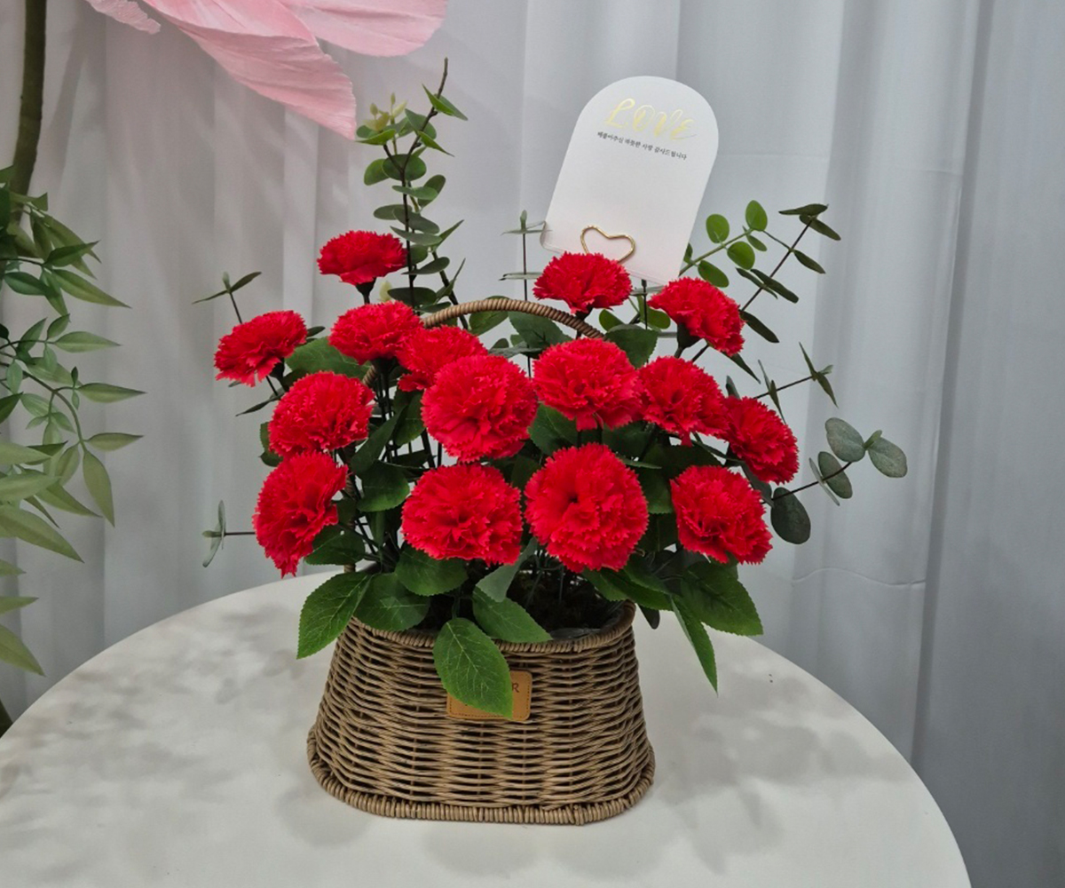 비누꽃 카네이션꽃바구니