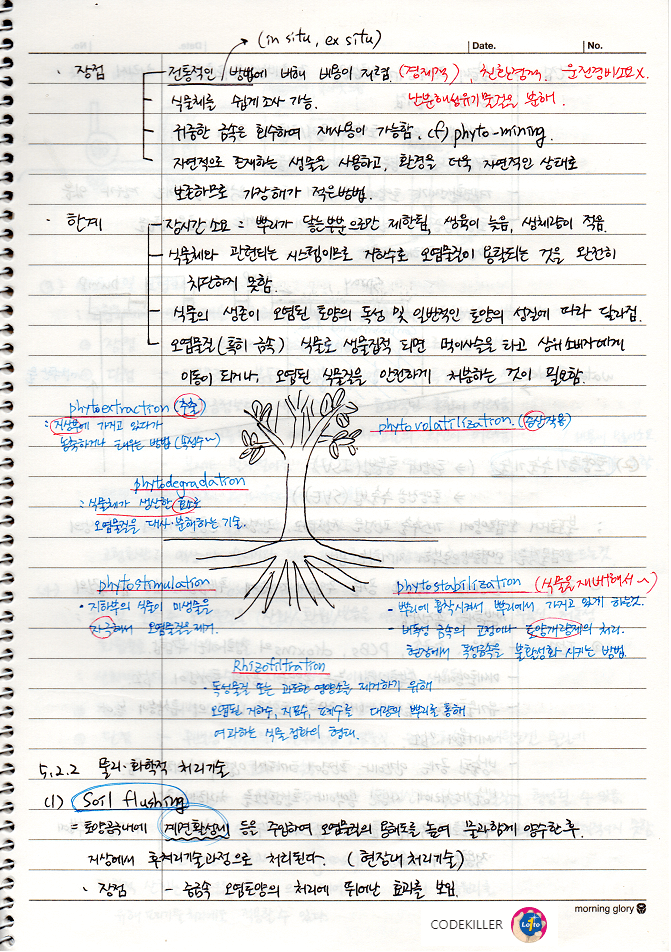 phytoremediation (식물을 이용한 환경복원), 식물복원방법