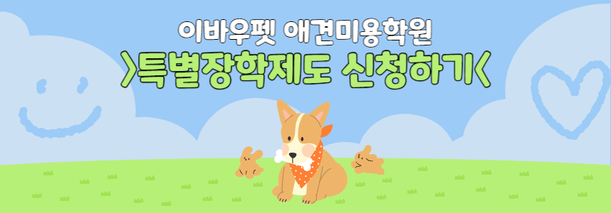 노원강아지미용학원