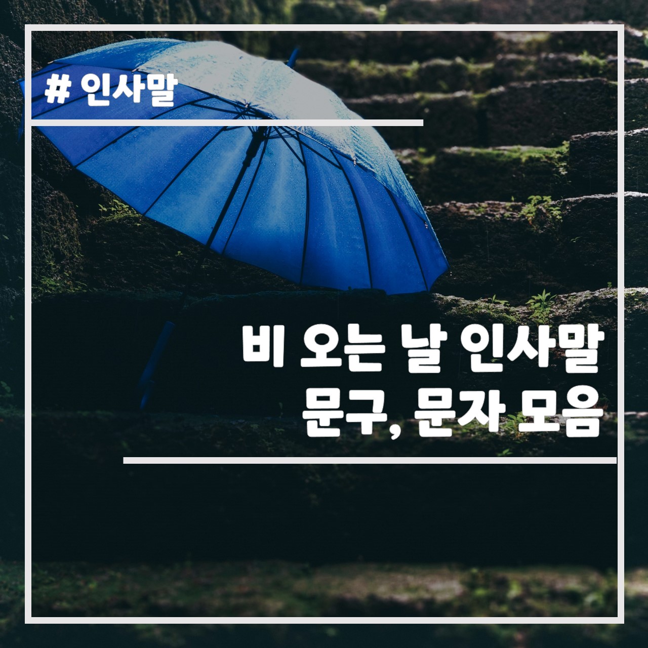 비 오는 날 인사말 문구, 문자 모음 썸네일
