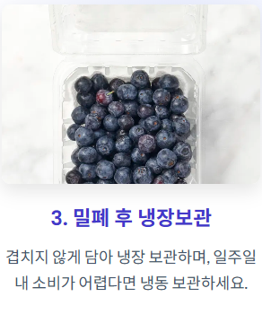 블루베리 세척법
