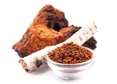 차가버섯 효능효과 영양성분 주의점