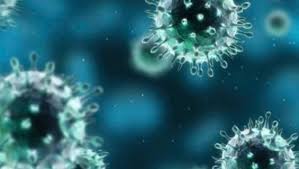 A형 독감, B형 독감