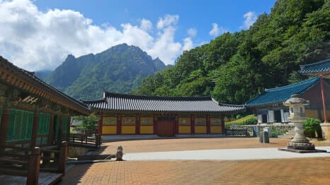 속초 신흥사 : 설악산의 숨결과 통일의 염원이 머무는 곳 설악산의 깊은 산문을 지키는 천년 고찰