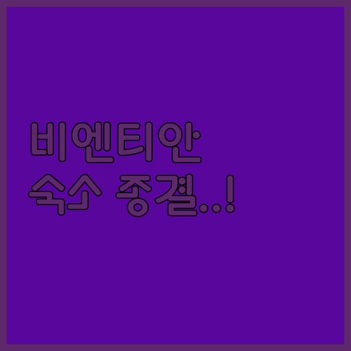 라오스 비엔티안 여행자거리 숙소 추천..