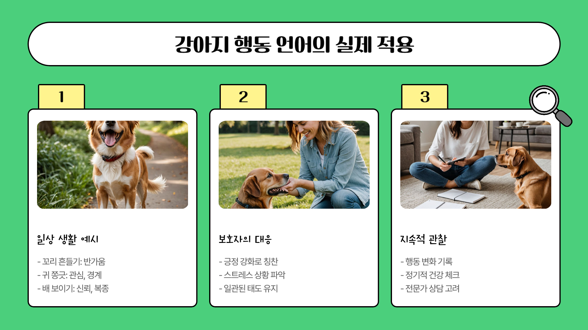 강아지의 행동 언어