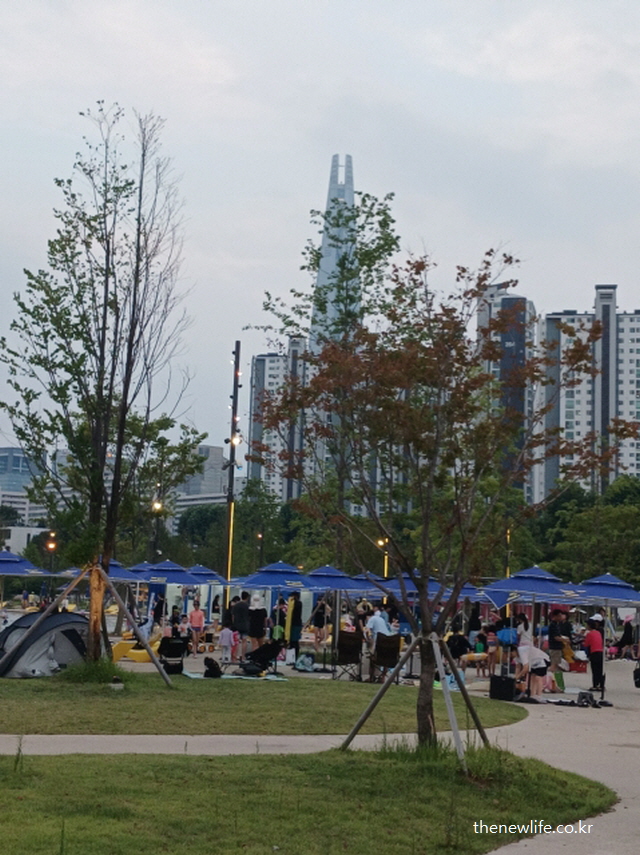 텐트와 파라솔이 설치된 잠실 한강공원 물놀이장 주변 피크닉 구역