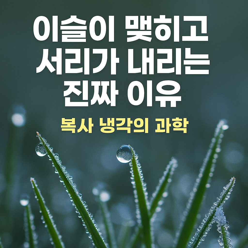 이슬 서리 복사 냉각