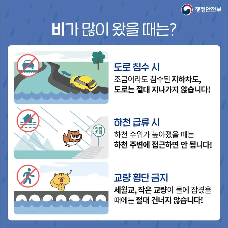 빗길-운전
