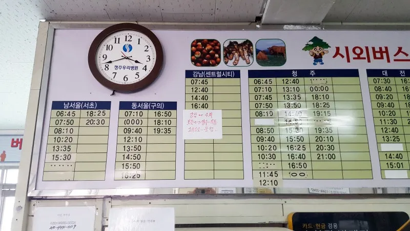 보은 시외버스터미널 시간표 예매 요금표_1