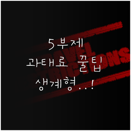 차량 5부제 의무화 조건 과태료 생계..