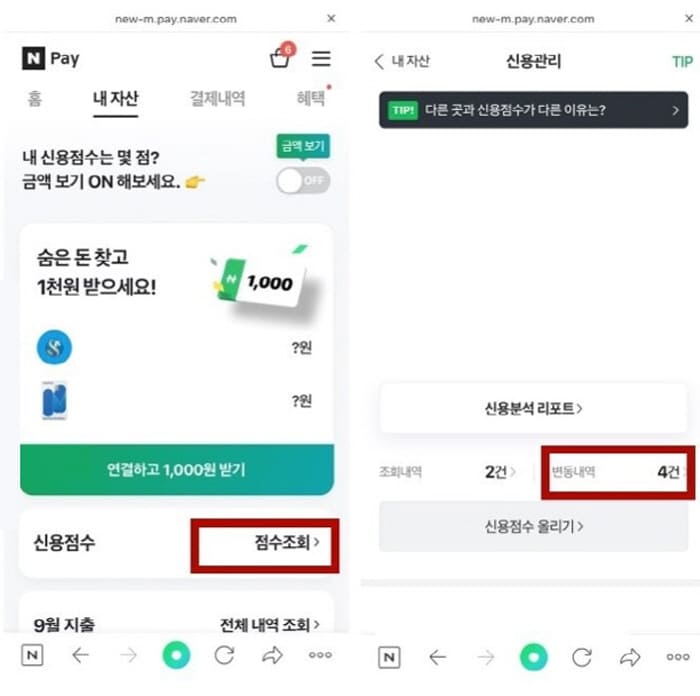 네이버앱-신용조회