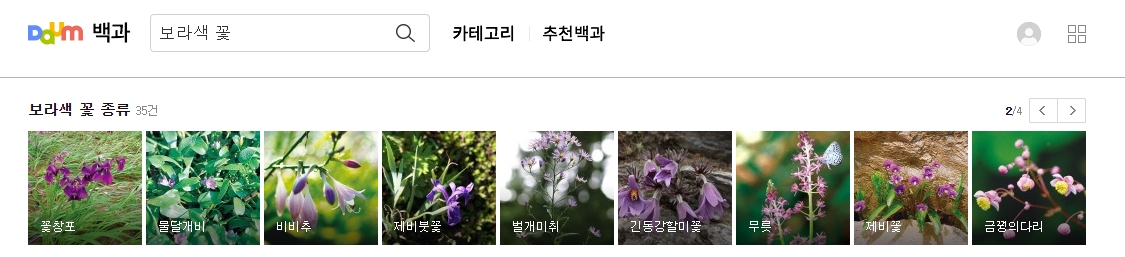 가을에 피는 보라색 야생화 층꽃나무 사진