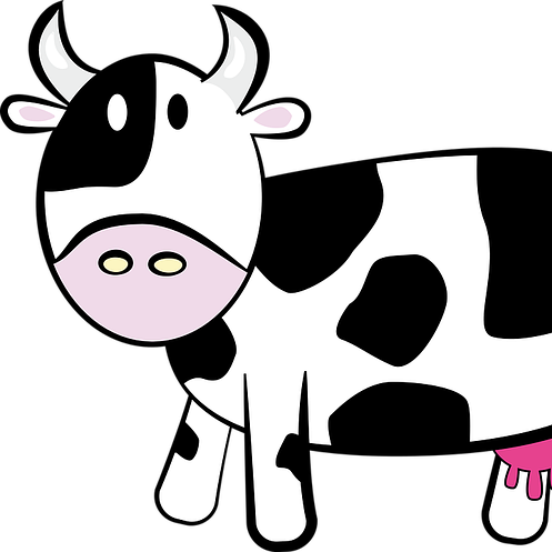 소연골 콘드로이친 - 소이미지