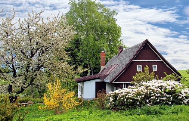 기초연금과 노령연금 차이