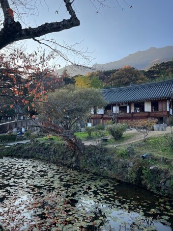 통도사 휴식형 템플스테이 사진