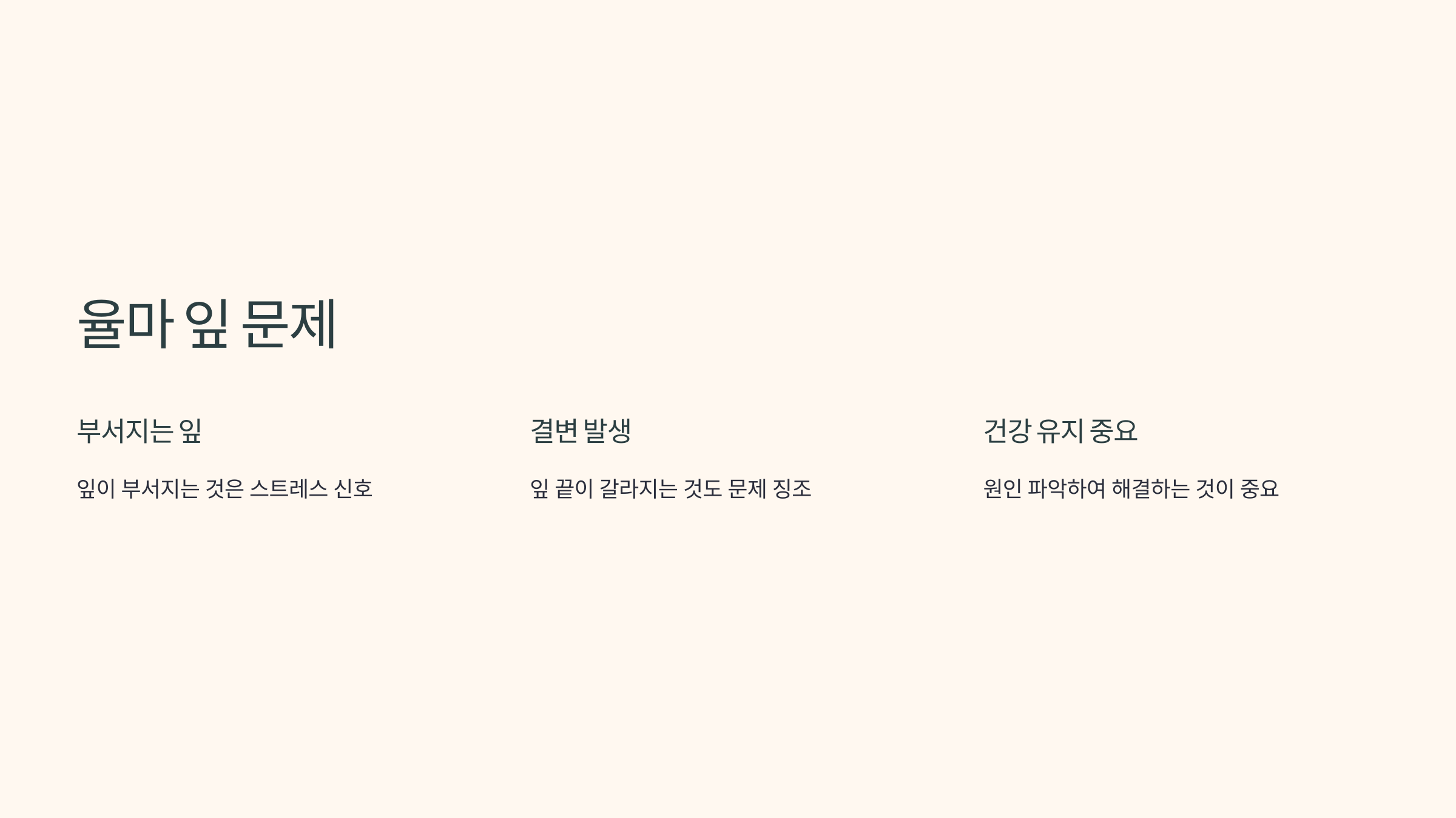 율마와 관련된 사진입니다.