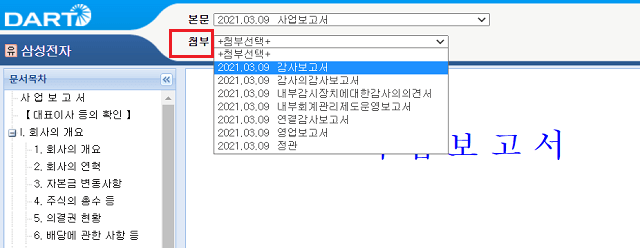 감사보고서 선택