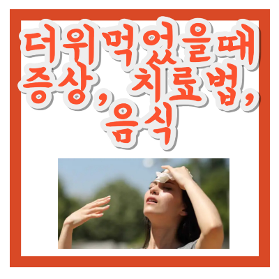 더위먹었을때 증상