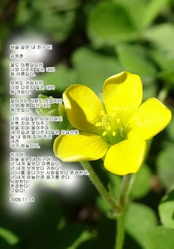 2025년 춘분 청명 봄 절기 인사말 이미지 일러스트_10