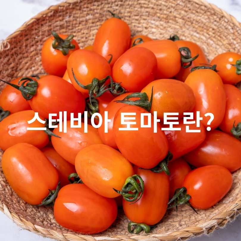 스테비아 토마토와 스테비아 커피믹스