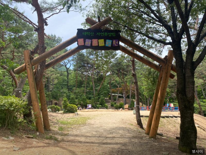 태학산 유아숲체험원
