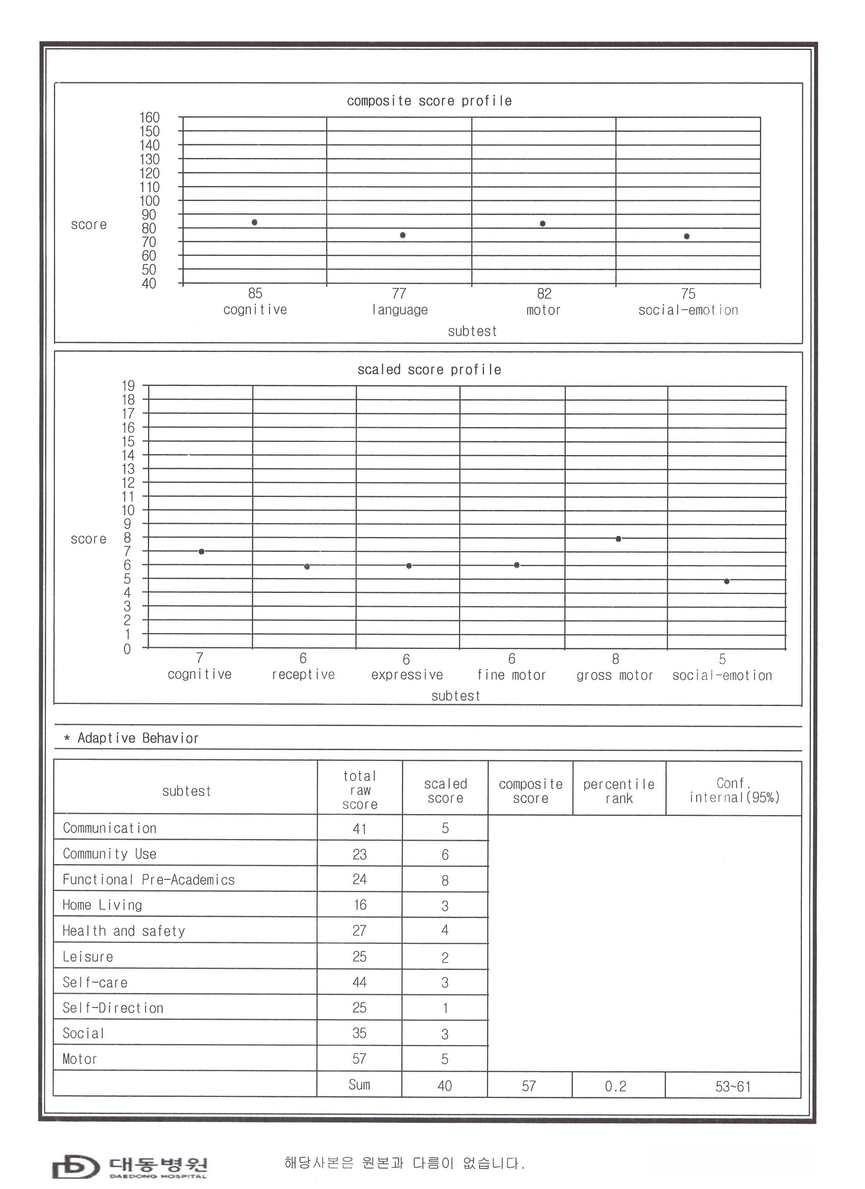 베일리검사 결과지(예시)