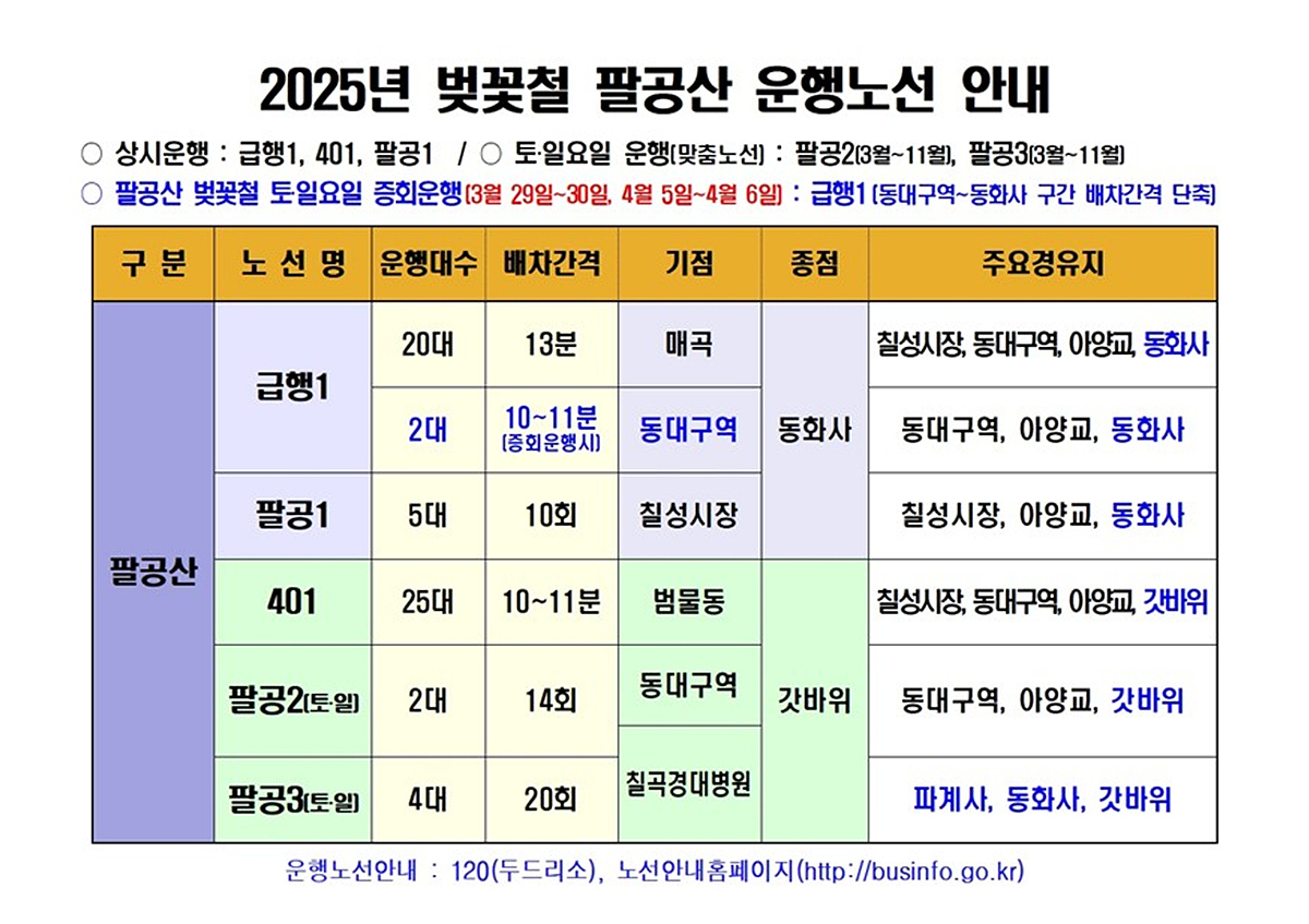 팔공산 벚꽃철 시내버스