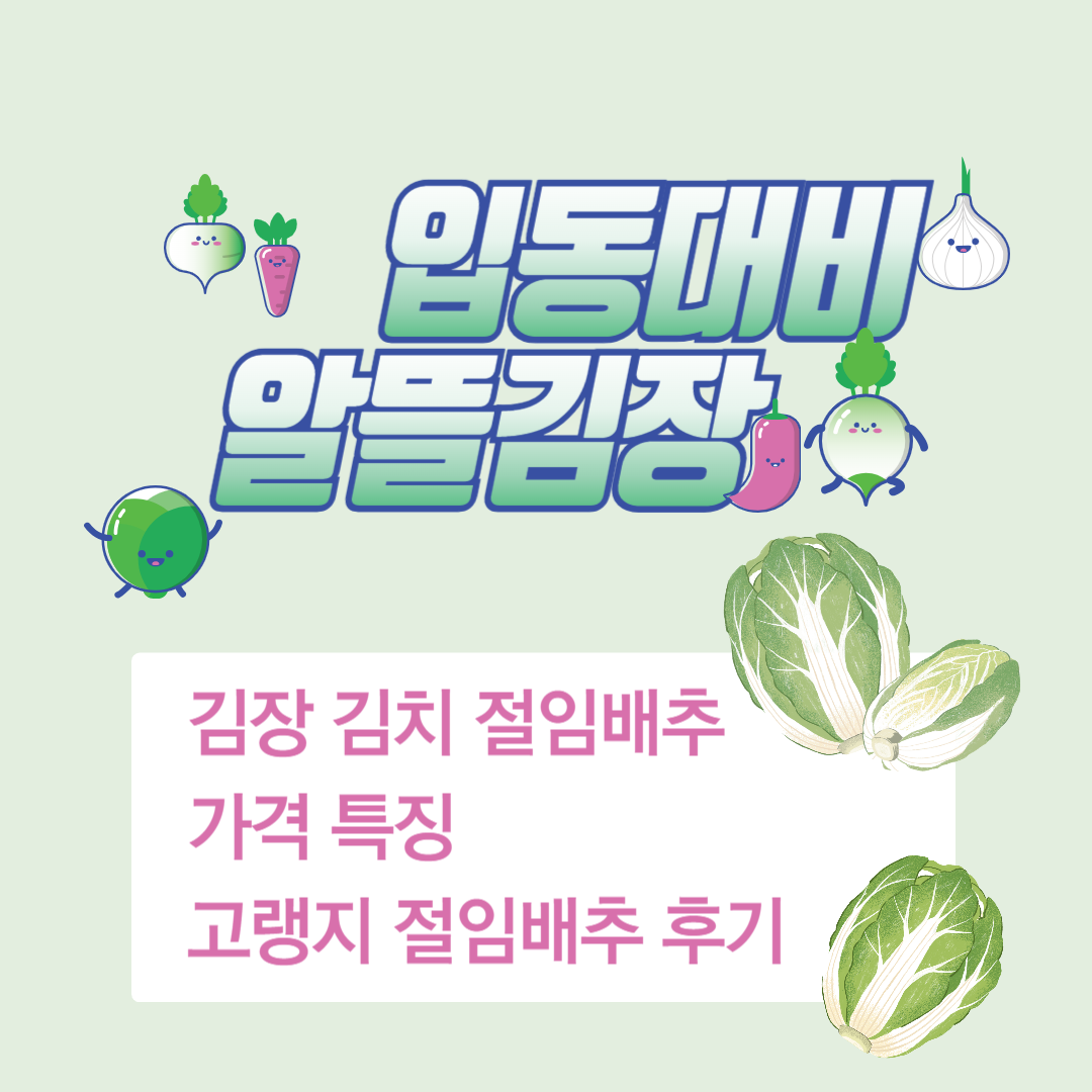 김장 절임배추 김치