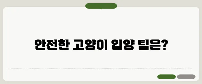 고양이 무료분양 안전하게 입양하는 법
