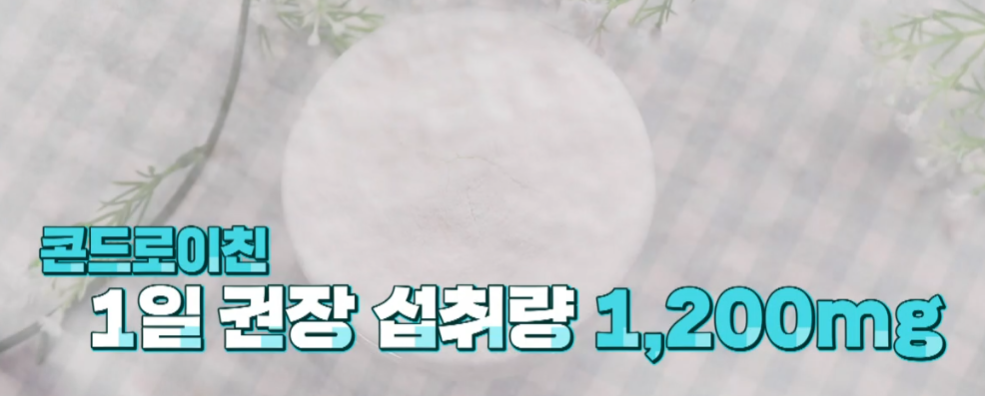 콘드로이친 추천 및 복용법