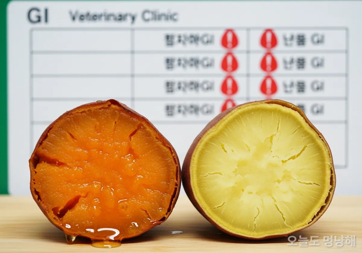 당도가 높은 군고구마와 찐 고구마 비교 및 혈당 지수 경고