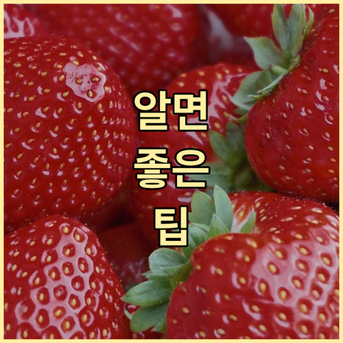 구토, 설사 멈춰! 식중독에 좋은 음..