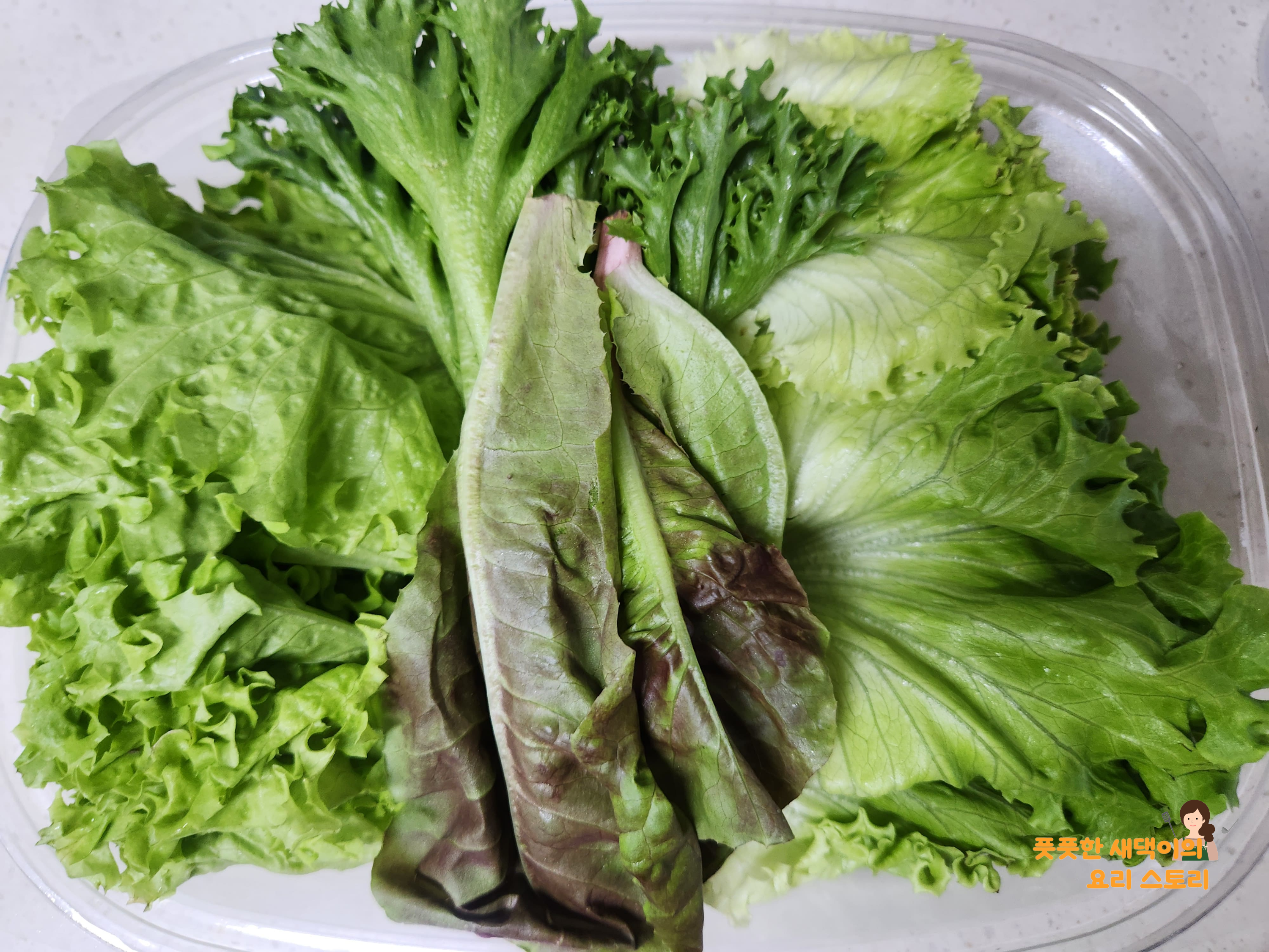 샐러드 야채 손질하기