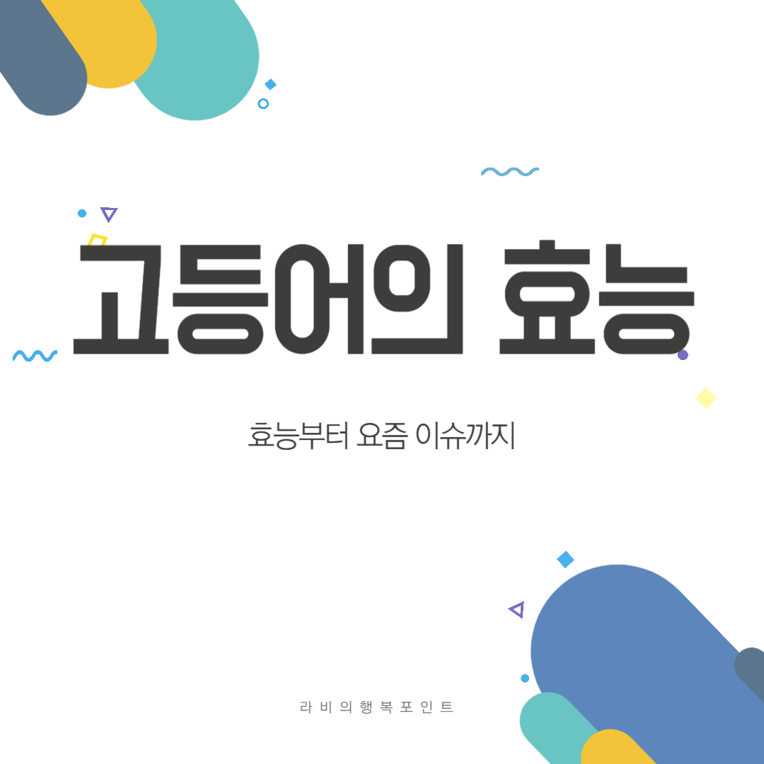 고등어의 효능