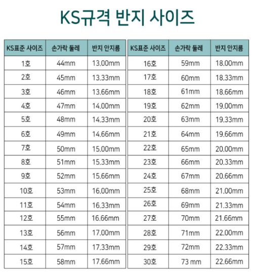반지-KS규격표