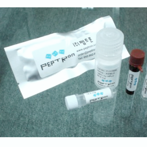 펩트론 주가 전망 목표주가