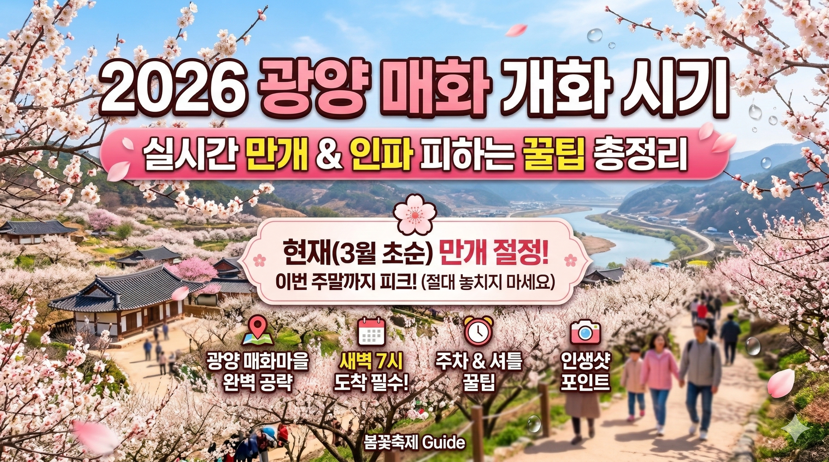 2026 광양 매화 개화 시기