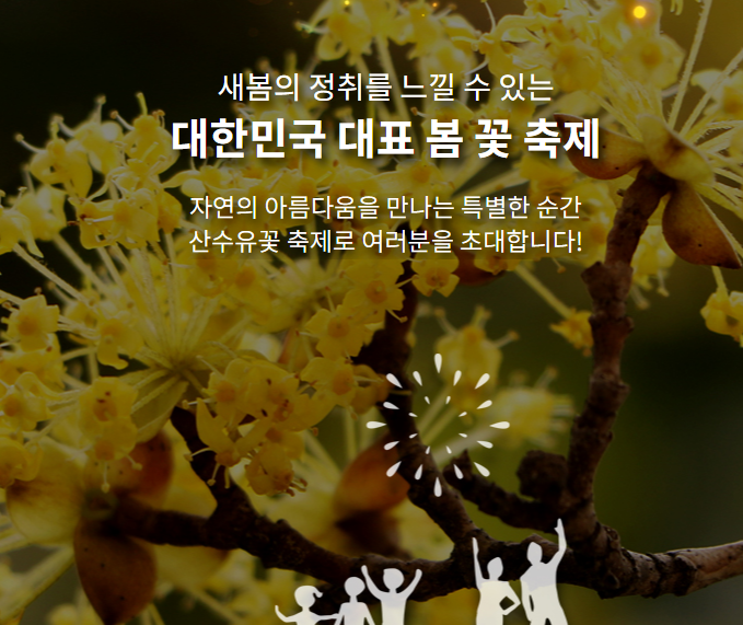 구례 산수유축제 초대가수 일정 및 주차장 맛집 정보