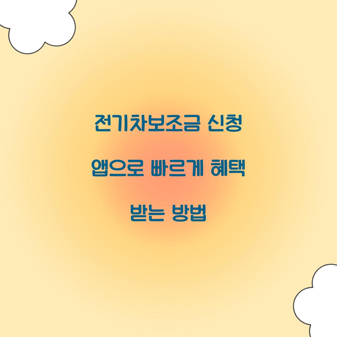 전기차보조금 신청 앱
