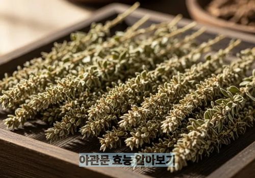 야관문 효능 알아보기