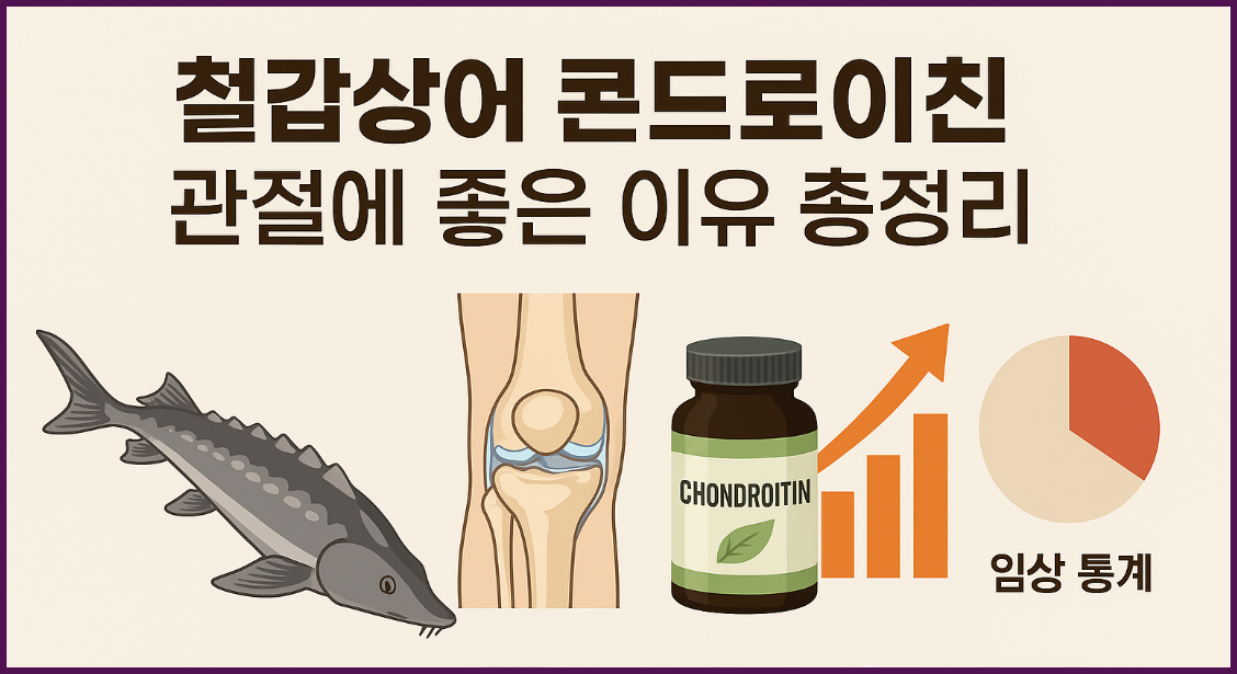 철갑상어 콘드로이친, 관절 회복의 열쇠일까?