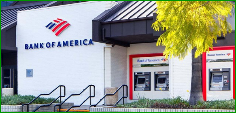 뱅크오브아메리카 창립자, 프로그램, 수익 구조