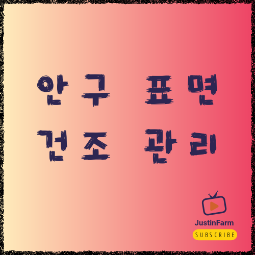 안구건조증 원인과 눈 건강 관리법, 뻑뻑함을 줄이는 현실 팁